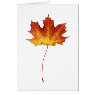 Cartão vermelho da folha de bordo do fogo