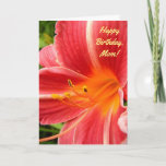 Cartão Vermelho do lírio/cereja do<br><div class="desc">Este cartão de aniversário para a mamã caracteriza uma foto de um hemerocallis bonito do vermelho de cereja com uma garganta do abricó e das listras brancas da nervura central nas pétalas. Este cultivar do hemerocallis foi registrado com a sociedade americana do Hemerocallis em 1972 como da "o laço cereja"...</div>