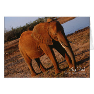 Cartão Vermelho Grande