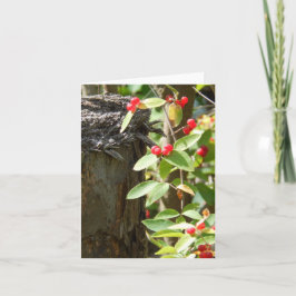 Cartão Vermelho na Madeira