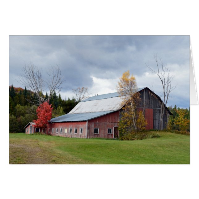 Cartão Vermont Red Barn no outono (Frente Horizontal)