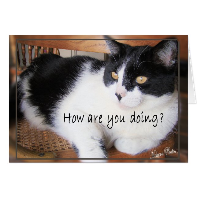 Cartão Versátil Cartão-você decide (Frente Horizontal)