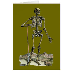 Cartão Vesalius: Sistema esqueletal