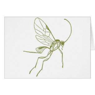 Cartão Vespa, Hyphantria de Meteorus