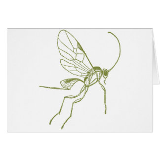 Cartão Vespa, Hyphantria de Meteorus