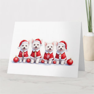 Cartão Vestido de Natal Coton de Tulear Chapéu de Papai N