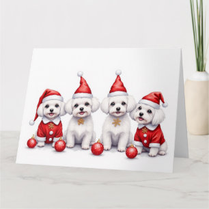 Cartão Vestido de Natal Maltês com Chapéu de Papai Noel