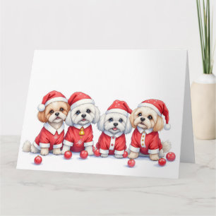 Cartão Vestido de Natal Malti Tzu Chapéu do Papai Noel