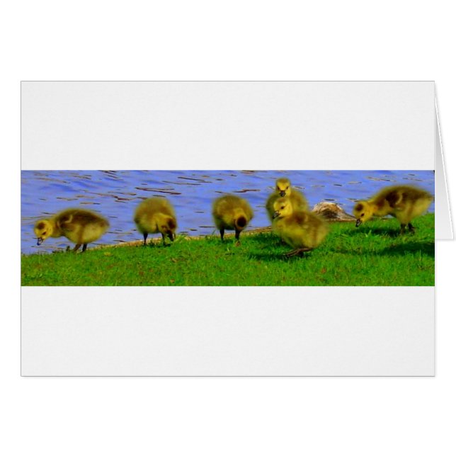 Cartão vestimenta (Frente Horizontal)