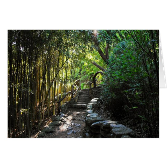 Cartão Viagem de mil milhões (Frente Horizontal)