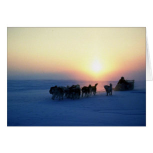 Cartão Viagem do trenó do cão em 45 graus de Celsius,