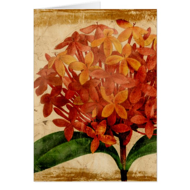 Cartão Vibrant Floral III (Frente)