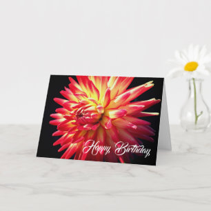 Cartão Vibrant Red Dahlia Flower Birthday