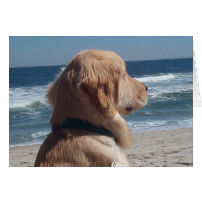 Cartão Vice-rei na praia (Frente Horizontal)