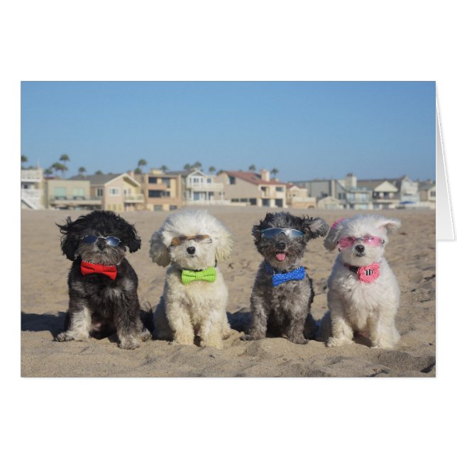 Cartão Vida da praia (Frente Horizontal)