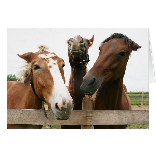 Cartão Vida do partido (Frente Horizontal)