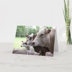 Cartão Vida fazenda (7416) - Vacas