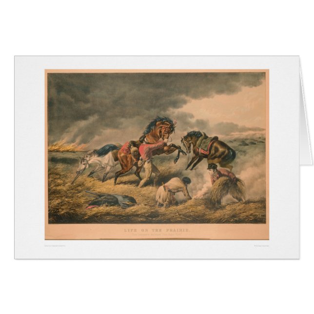 Cartão Vida na pradaria: A defesa do caçador (0879A) (Frente Horizontal)