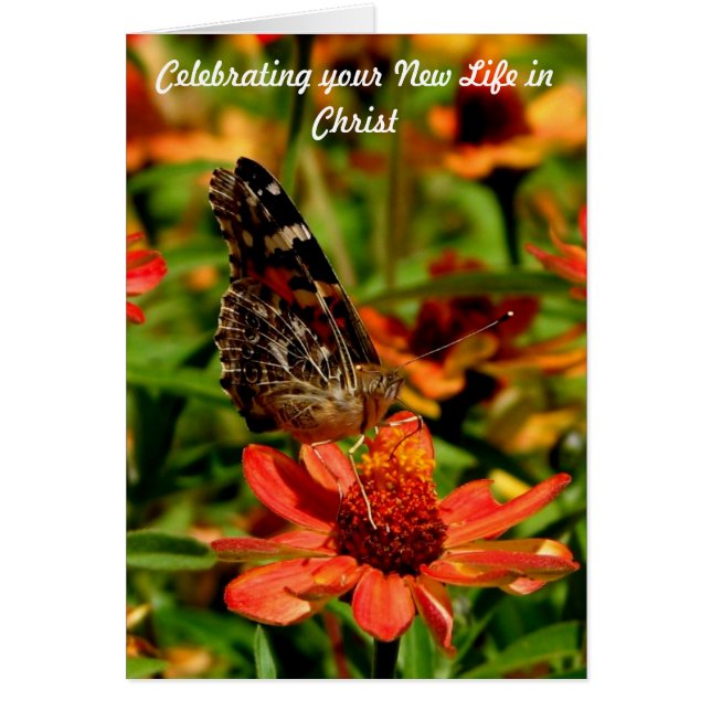 Cartão Vida nova no cristo (Frente)