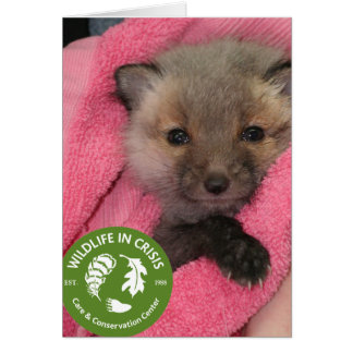 Cartão Vida Selvagem em Crise