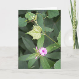 Cartão Vida Simples... Não é uma citação simples