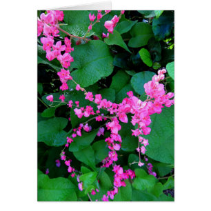 Cartão Videira coral cor-de-rosa