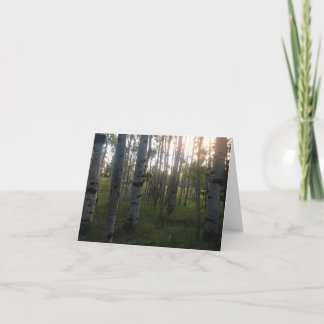 Cartão Vidoeiros na manhã