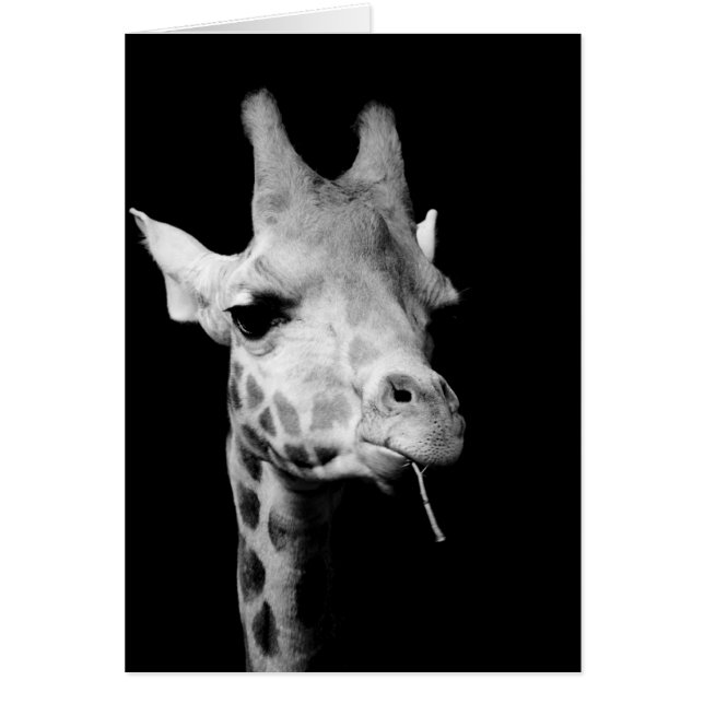 Cartão viga (Frente)