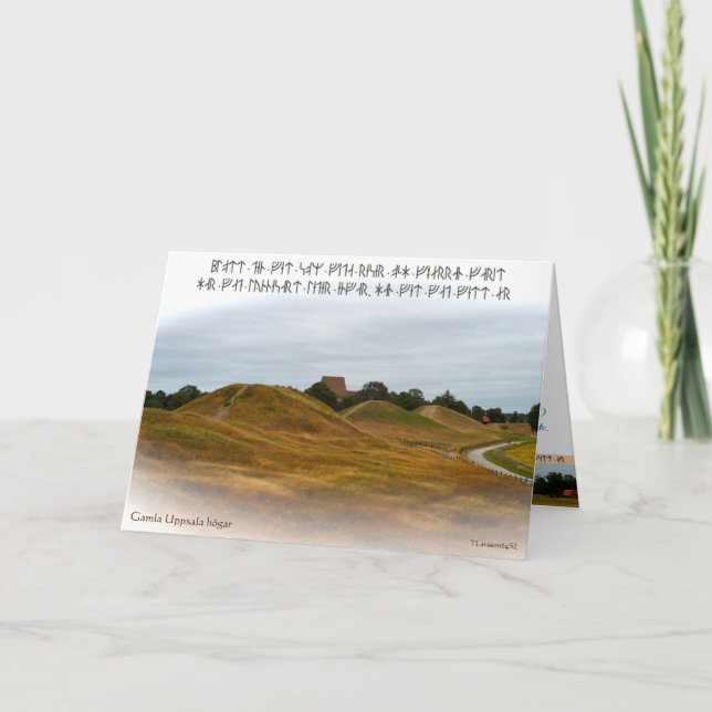 Cartão Vikta kort — Kungshögarna (Frente)