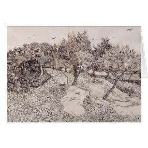 Cartão Vincent van Gogh   as oliveiras
