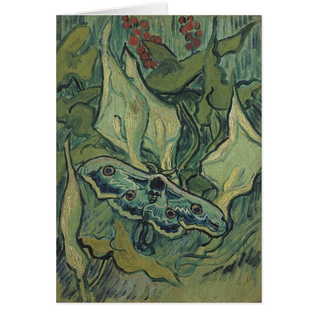 Cartão Vincent van Gogh - Excelente Peacock Moth (Frente)