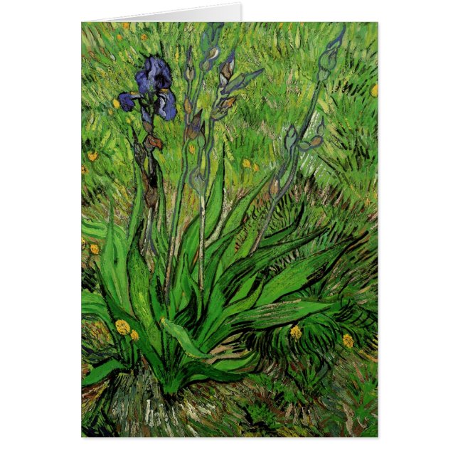 Cartão Vincent van Gogh - Iris (Frente)