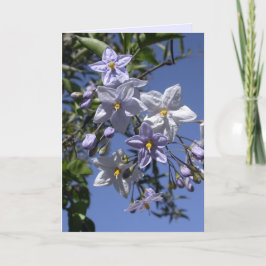 Cartão Vinha de batata