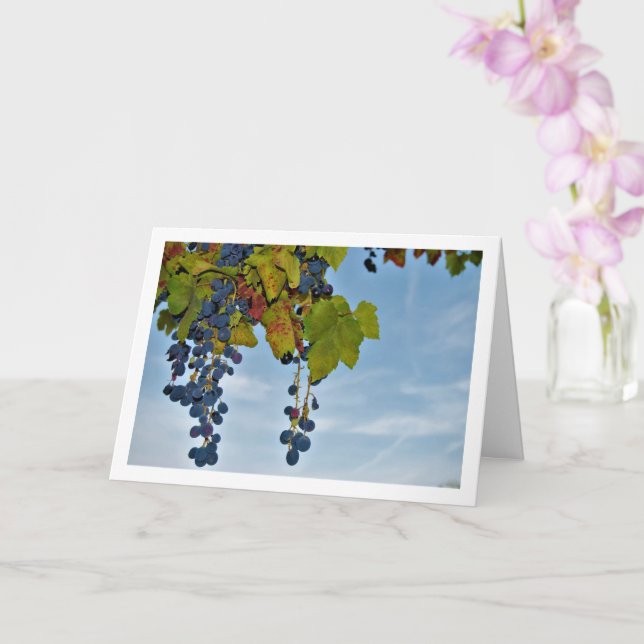 Cartão Vinha de uva vermelha no céu azul (Orquídea)