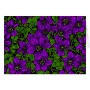 Cartão Vinha-púrpura Clematis