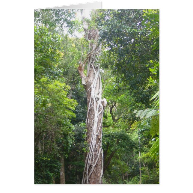 Cartão vinhas (Frente)