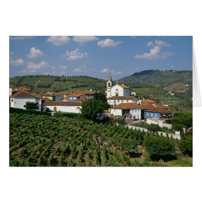 Cartão Vinhas, Aldeia de São Miguel, Douro (Frente Horizontal)