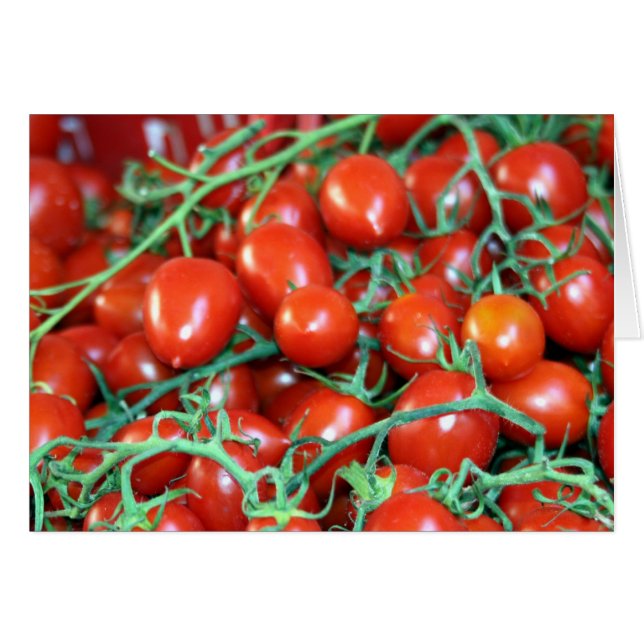 Cartão vinhas de tomate (Frente Horizontal)