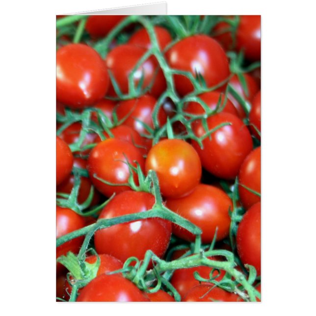Cartão vinhas de tomate vermelho (Frente)