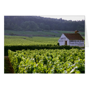 Cartão vinhedo Chambertin Clos de Beze Grand Cru com
