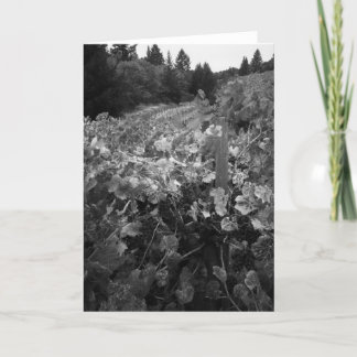 Cartão Vinhedo e colinas, negociante de panos Vinhedo,