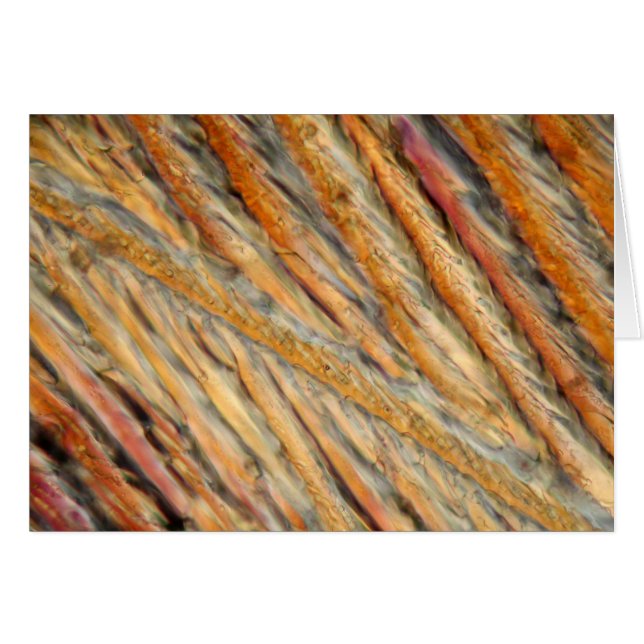 Cartão Vinho ao microscópio - Chardonnay (Frente Horizontal)