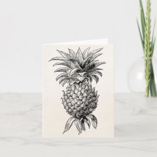 Cartão Vintage 1800s Pineapple Illustration Pineapples