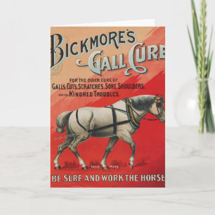 Cartão Vintage Ad for Bickmore Gall Cure for Horses.
