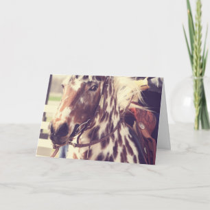 Cartão Vintage Appaloosa Show Horse, Birthday