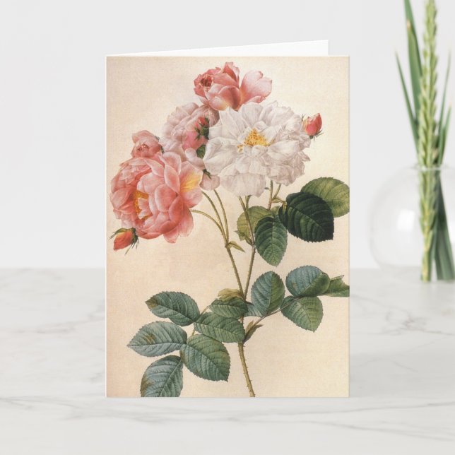 Cartão Vintage Art Rosa Flower Greeting Card (Frente)