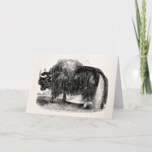Cartão Vintage Asian Yak Retro Yaks Animal Illustration