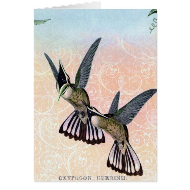 Cartão Vintage Bird Digital Art (Frente)