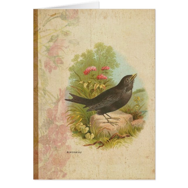 Cartão Vintage Blackbird (Frente)