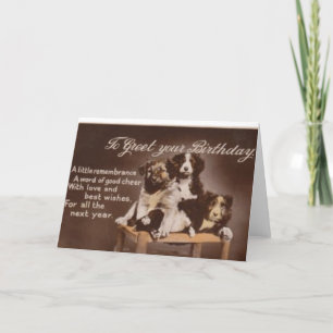 Cartão Vintage Border Collie Birthday
